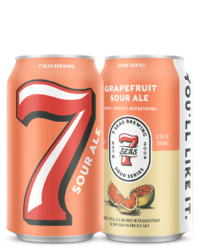Grapefruit Sour Ale 1