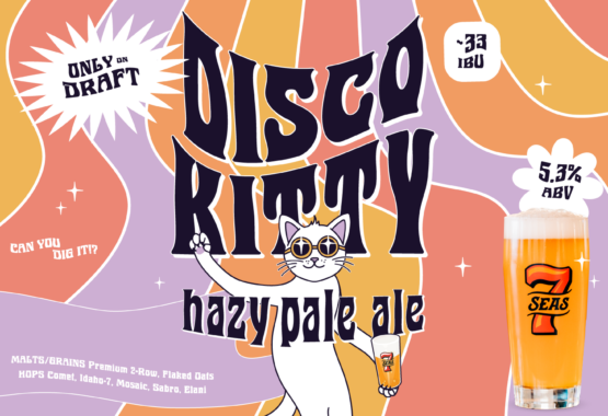 Enjoy Disco Kitty Hazy Pale Ale