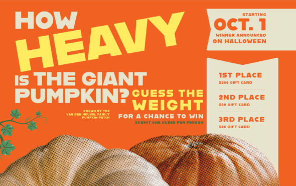 Guess the weight of our giant pumpkin!