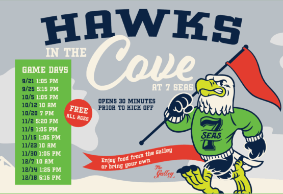 Hawks in The Cove