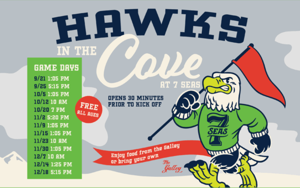 Hawks in The Cove