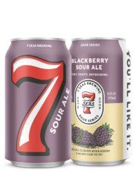 Blackberry Sour Ale - coming this Fall